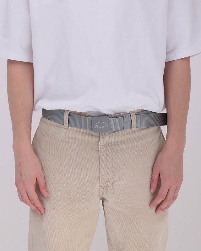 Ремень ANTEATER Belt_PLST-Silver - фото 38073