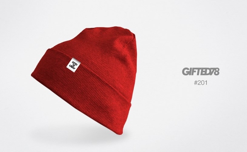 Шапка "GIFTED" knitfleece18/201