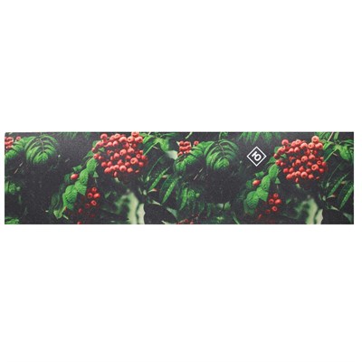 Шкурка Юнион Ashberry