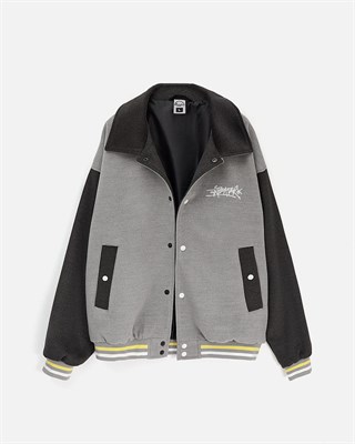 Куртка ANTEATER Collegejkt-Grey