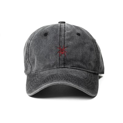 Кепка Бордшоп1 Spider черный