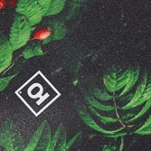 Шкурка Юнион Ashberry - фото 35951