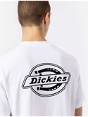 Футболка Dickies HOLTVILLE White - фото 44461