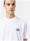 Футболка Dickies HOLTVILLE White - фото 44462