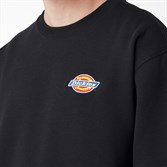 Свитшот Dickies CHEST LOGO FLEECE Black - фото 44466
