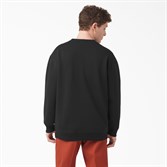 Свитшот Dickies CHEST LOGO FLEECE Black - фото 44467